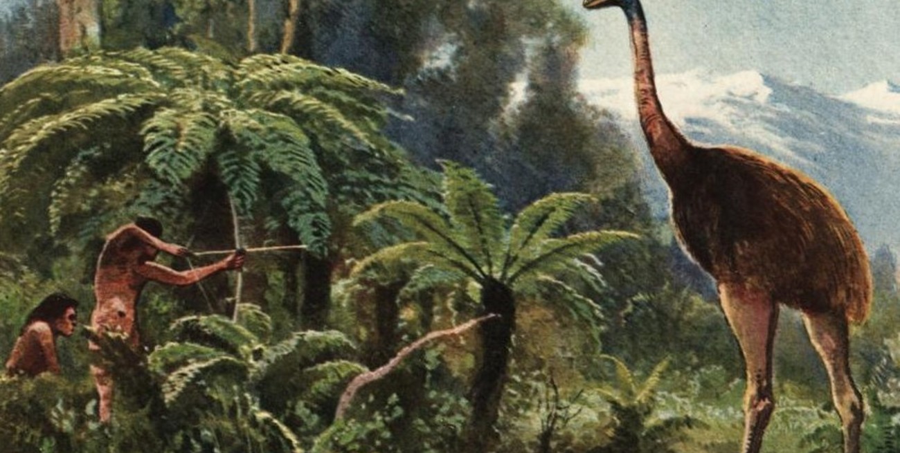 Con apoyo de Peter Jackson, una empresa busca desextinguir al enorme moa