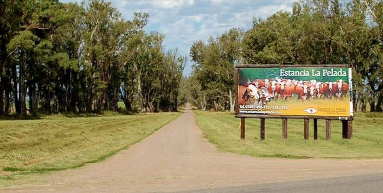 Golpe comando: vaciaron la caja fuerte de una histórica estancia ligada a los Born