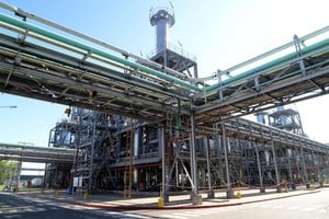 Bioetanol: autorizan una nueva levadura genéticamente modificada para uso industrial