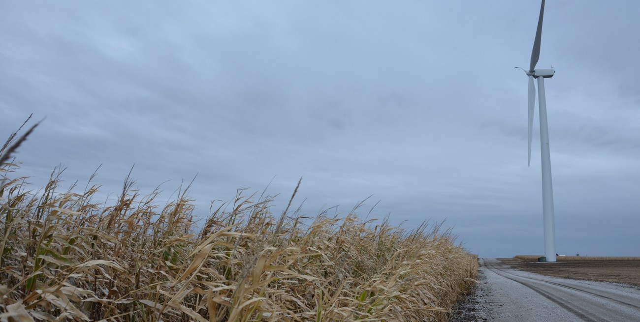 Alerta amarillo por viento fuerte en Buenos Aires y otra provincia de Argentina