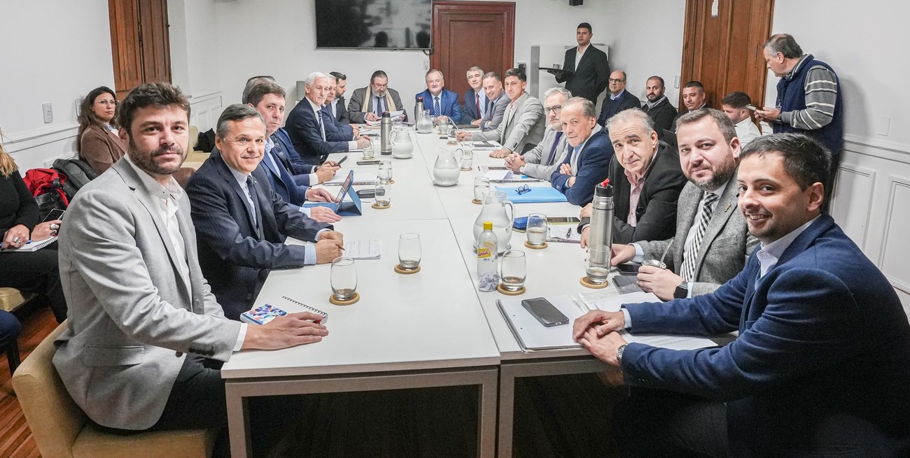 En detalle: quiénes integran cada comisión en la Convención Reformadora de Santa Fe