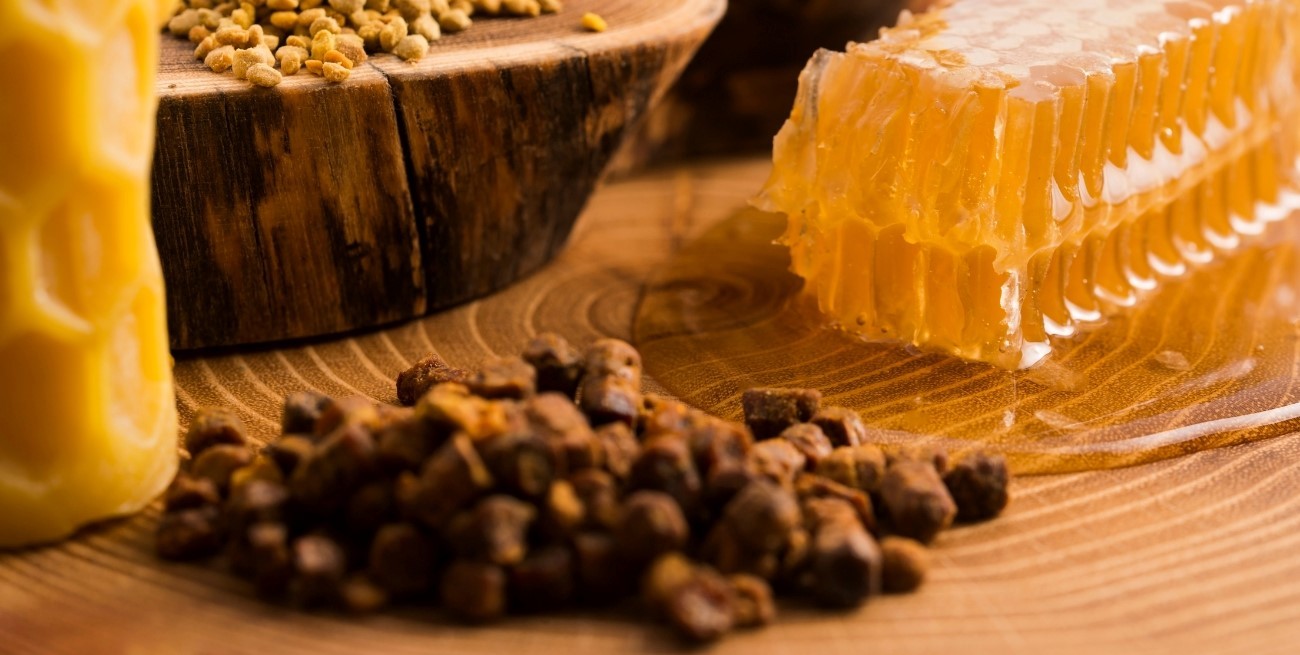Qué hace el propóleo en el cuerpo y cómo consumirlo