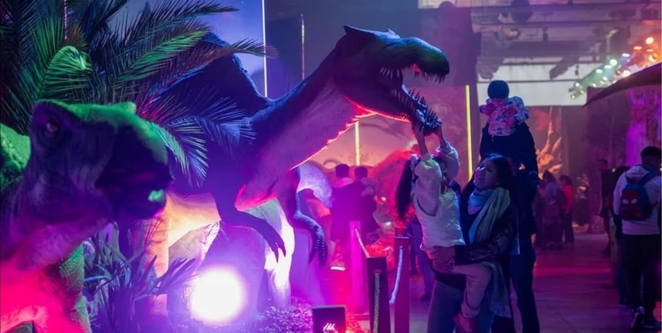 Murió una mujer embarazada en un parque de diversiones: se salvó su beba