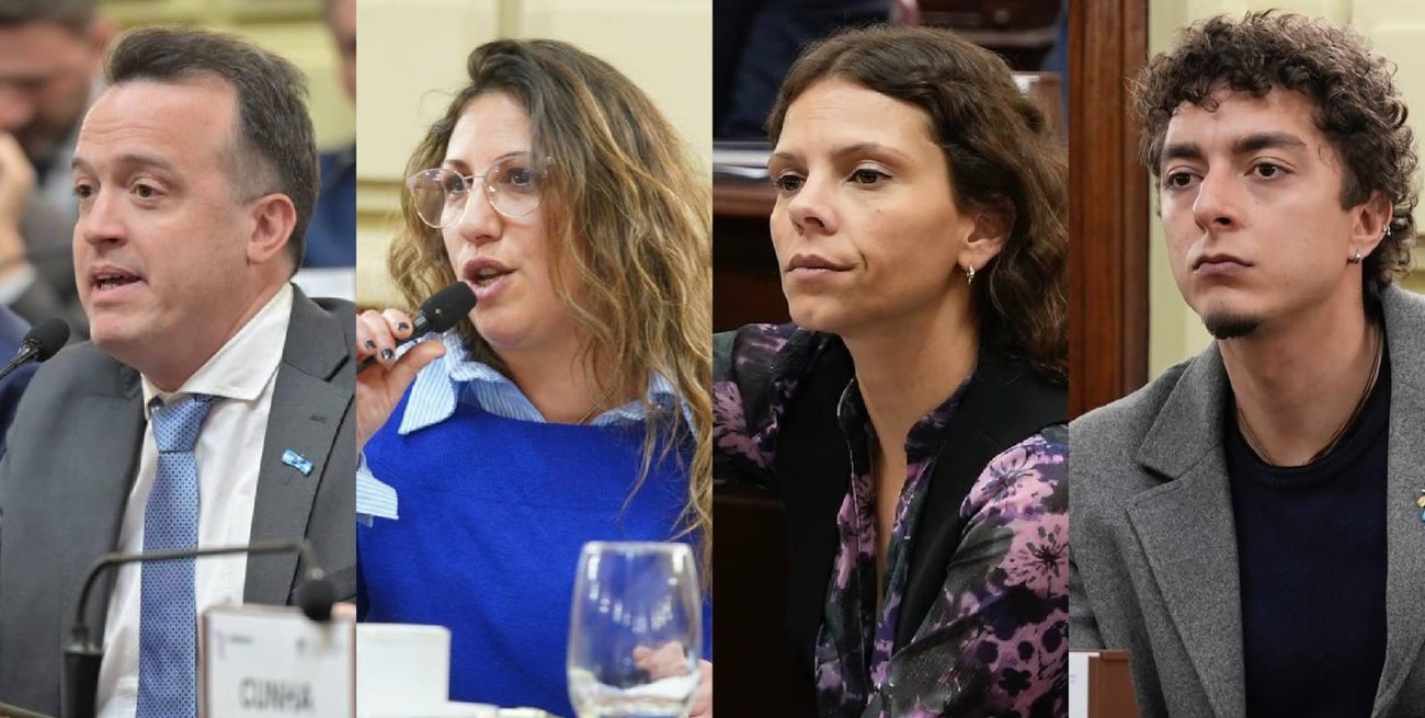 Con inteligencia artificial, el Socialismo acerca su propuesta para la nueva Constitución