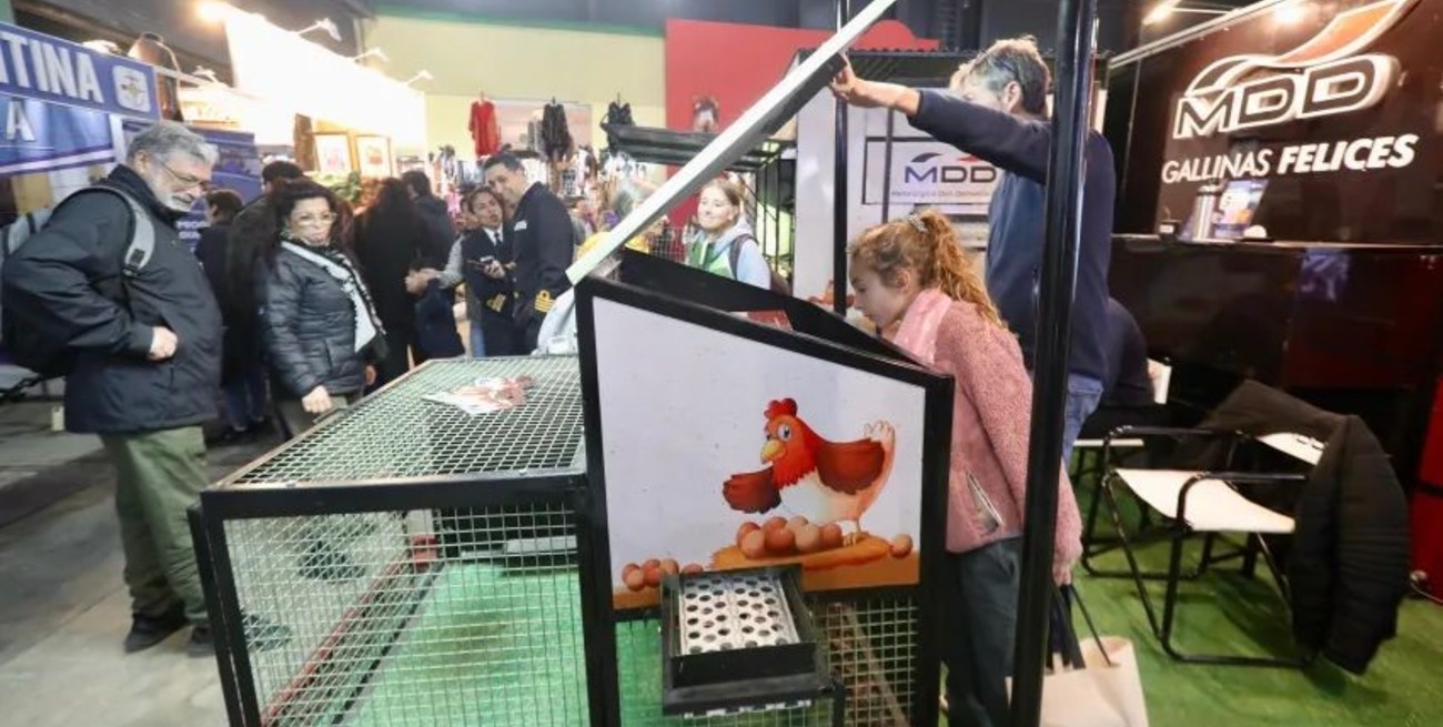 Tendencia en la Rural: "gallineros con ruedas" para gallinas más felices 