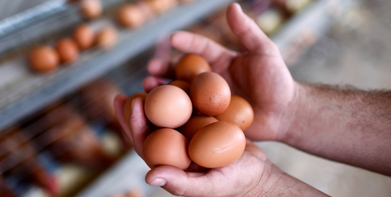 El huevo, una proteína clave con potencial de expansión en Argentina