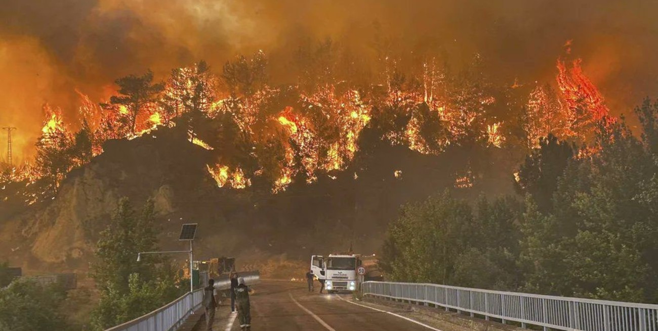 Turquía en llamas: incendios forestales masivos y ola de calor
