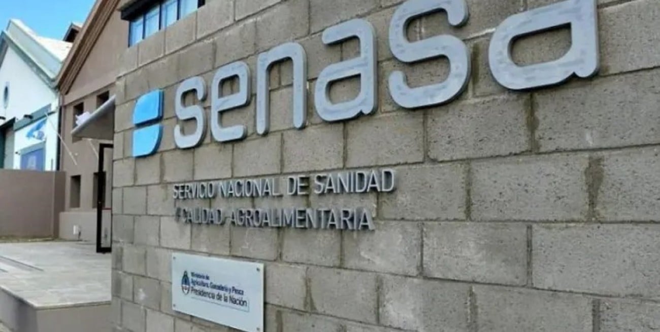 SENASA actualizó el PROCEM y redefinió el control de la Mosca de la Fruta en todo el país