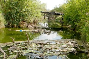 La cuenca del arroyo Cululú cubre una superficie aproximada de 752.000 ha e involucra a unas 15 localidades de los departamentos de Las Colonias y Castellanos.