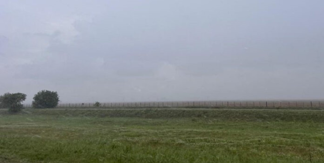 Precipitaciones en toda el área del SEA, paralizaron la siembra