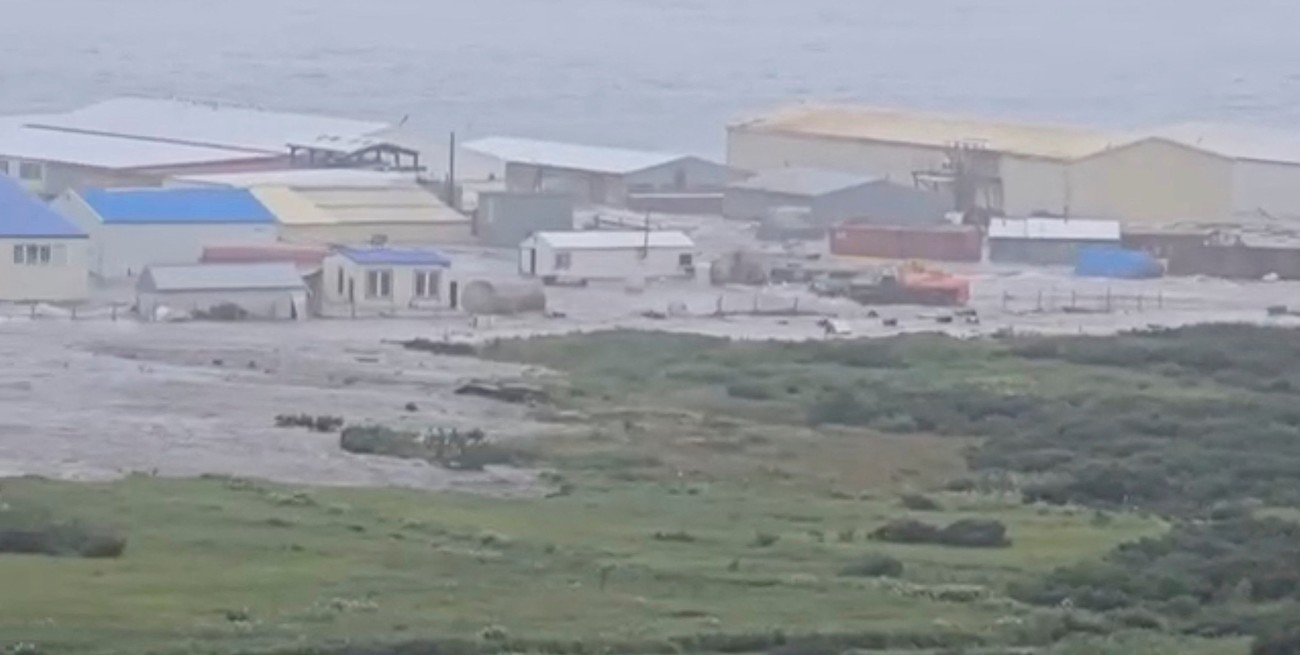 Tsunamis golpean Rusia y Japón tras el sismo de magnitud 8.8