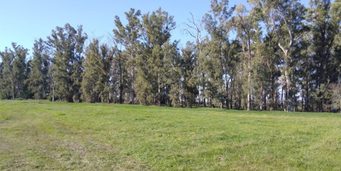 Un nuevo ojo al universo: construirán en Las Petacas un observatorio astronómico