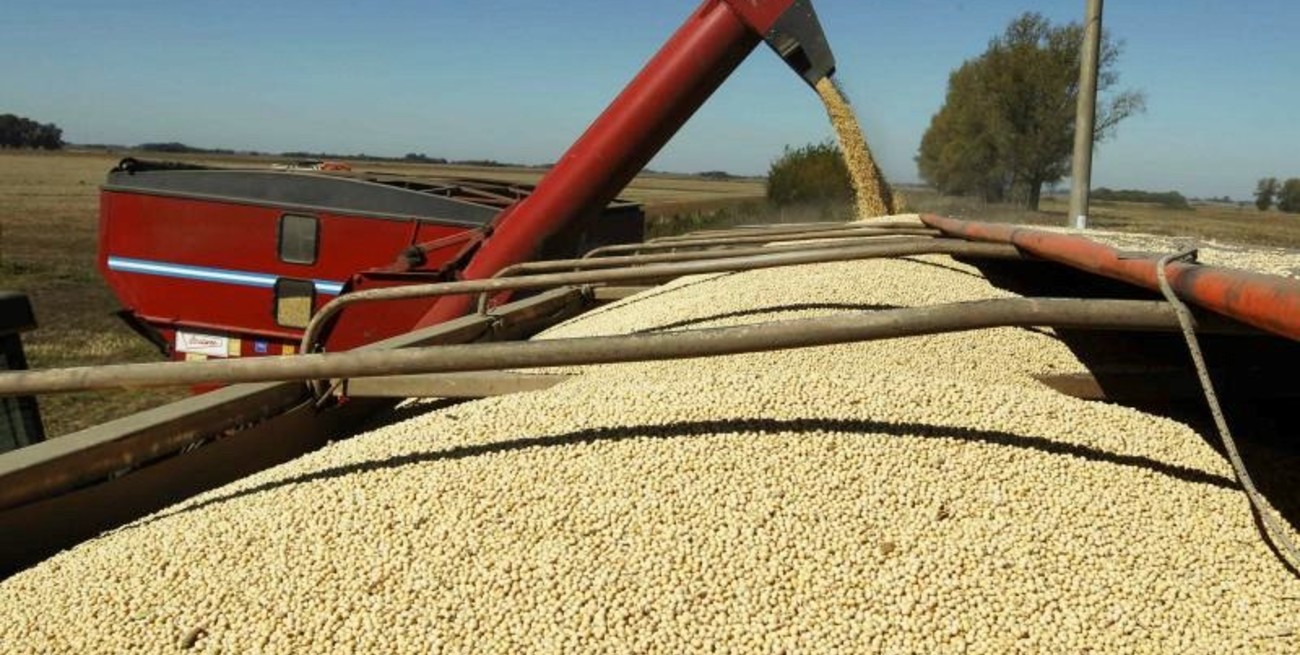 Calculan U$S 28 mil millones más del campo por la baja de las retenciones