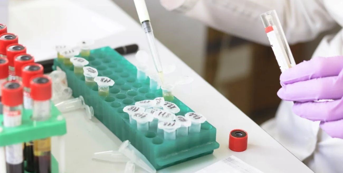 Circulan nuevas variantes de Ómicron en Argentina: cuáles son y qué riesgo representan