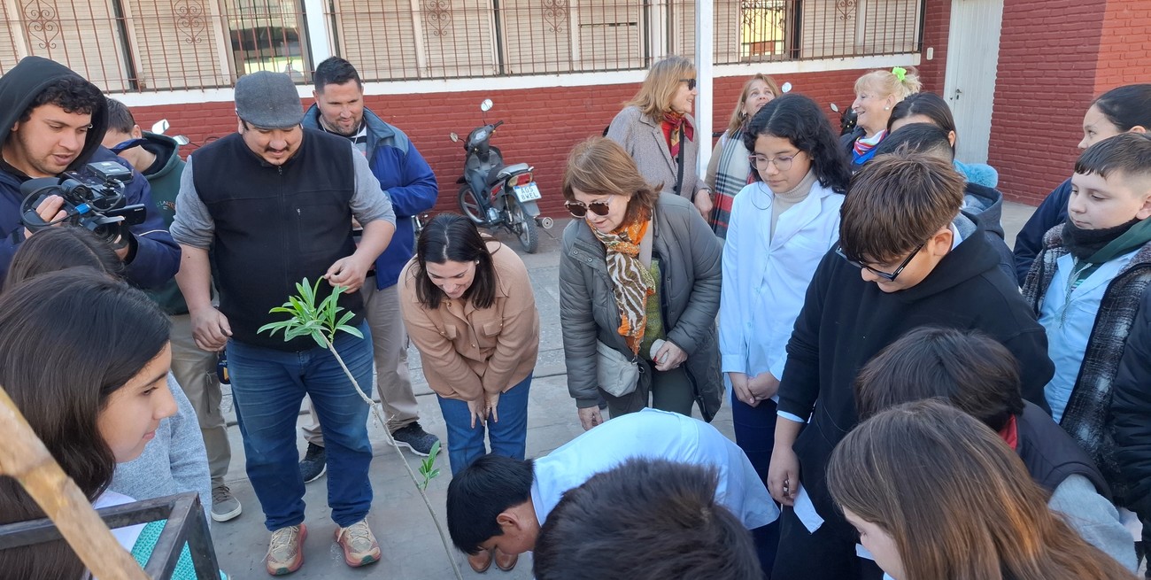 San Javier impulsa la forestación urbana con participación comunitaria