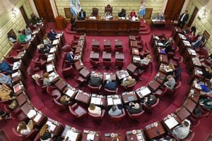 La Cámara de Diputados definió sus representantes en comisiones especiales para el control legislativo.