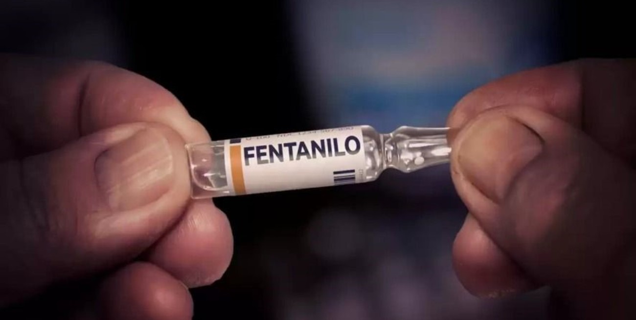 La ruta del Fentanilo VI: ocultamiento de víctimas 