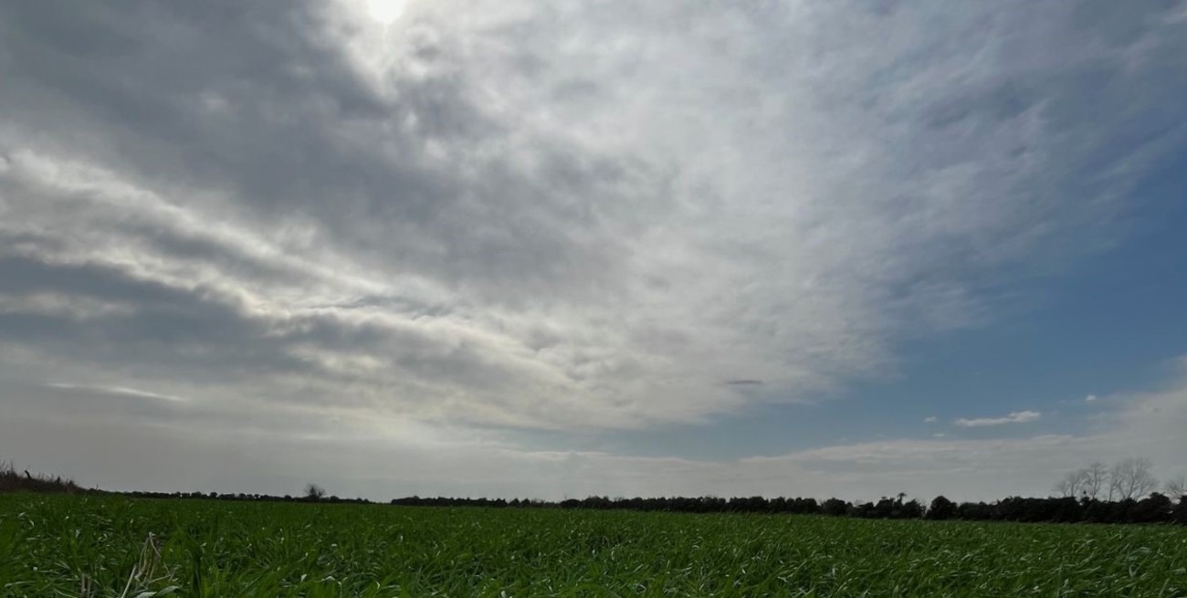 La llegada de vientos del norte dejarán precipitaciones moderadas en el sur y centro del área agrícola santafesina 
