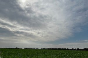 El clima suma incertidumbre: lluvias concentradas y calor extremo