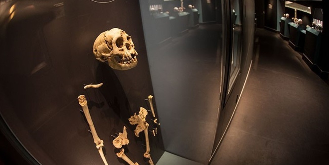 Descubrieron piedras antiguas que revelan vecinos perdidos de los "hobbits"