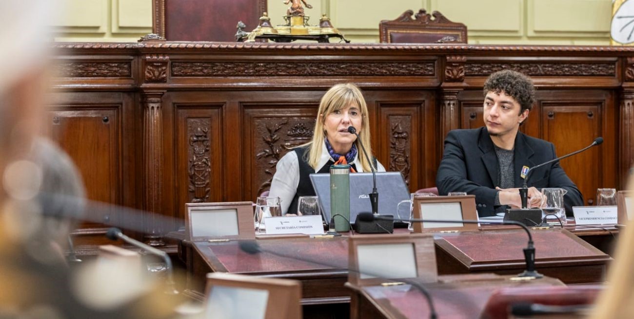 Rodenas: “La reforma constitucional de Santa Fe tiene voz ciudadana”