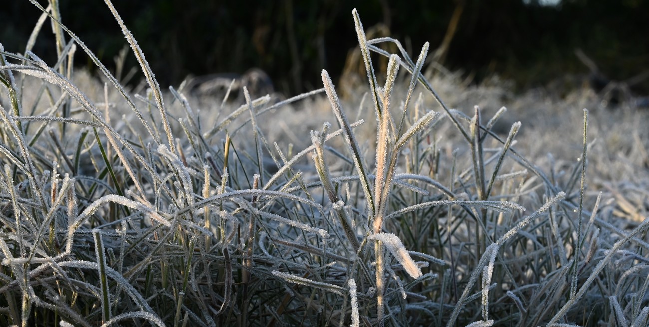 Alerta por frío extremo en Buenos Aires, Entre Ríos y otras dos provincias de Argentina