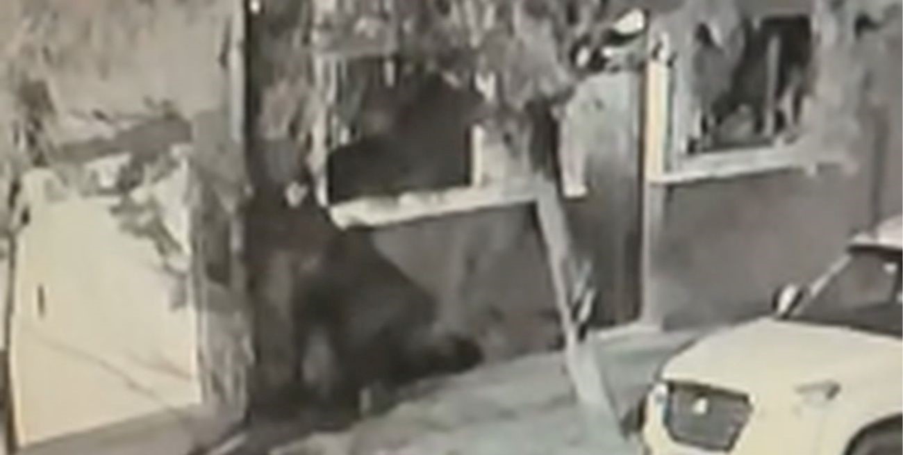 Trepó, robó y escapó en el barrio Guadalupe Oeste de Santa Fe