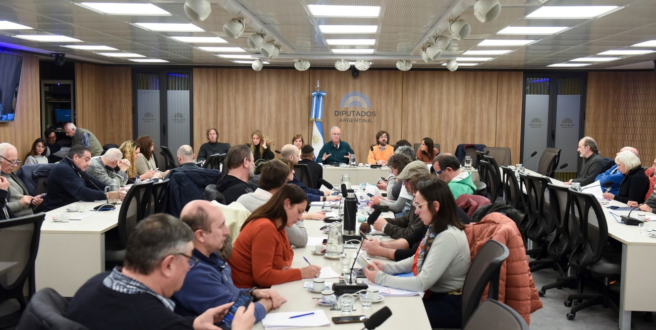 La Cámara de Diputados de la Nación activa en comisiones la agenda que impulsa la oposición
