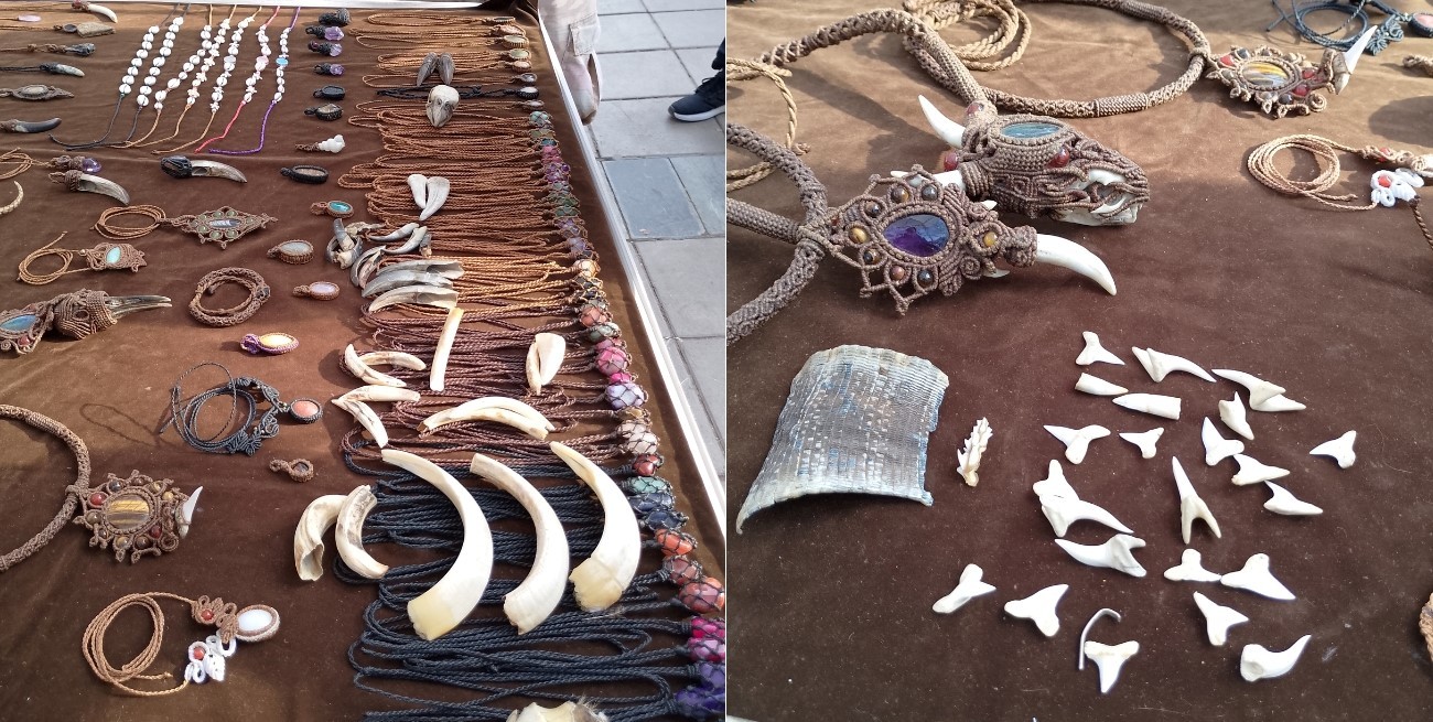 Decomisaron joyería y adornos fabricados con fauna silvestre en Mendoza