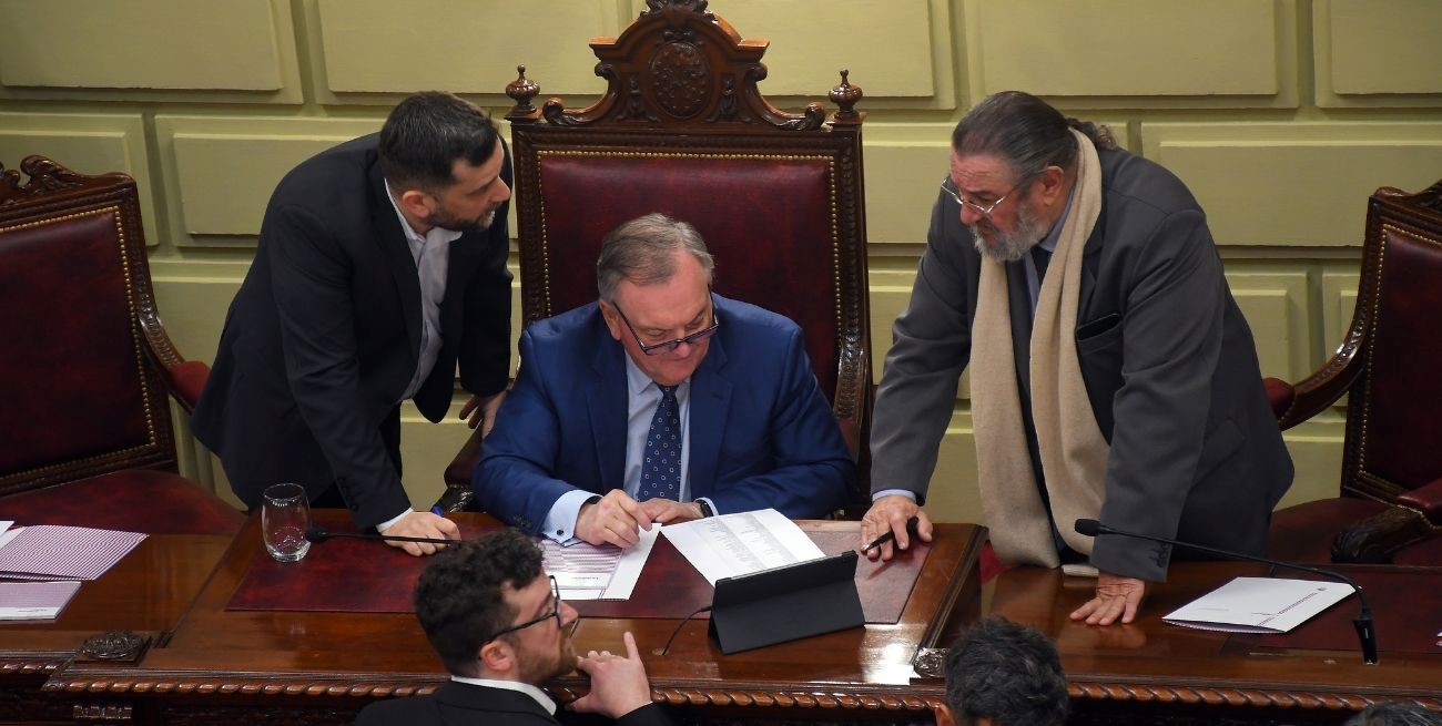 Michlig destacó el diálogo y la amplia participación ciudadana en la primera etapa de la Convención 