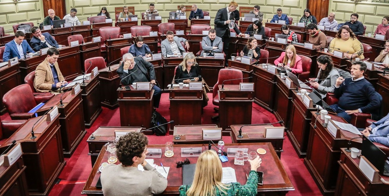 Convención a mitad de camino: cuáles fueron los temas de más interés ciudadano