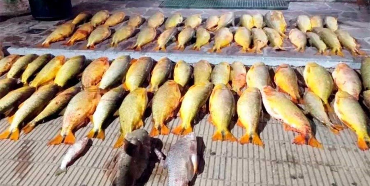 Advierten que la depredación puede afectar al turismo y piden respuestas al gobierno de Frigerio