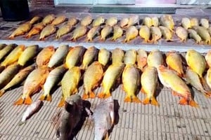 La preocupación es que la situación sucede hace mucho tiempo y creció en los últimos años.