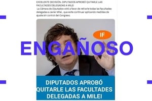 La Cámara de Diputados no votó eliminar las facultades delegadas por el Congreso al gobierno, sí decretos. Reverso