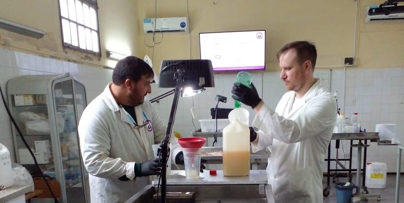 Una investigación en la Facultad de Ciencias Veterinarias de Casilda revolucionaría el estudio de la anatomía