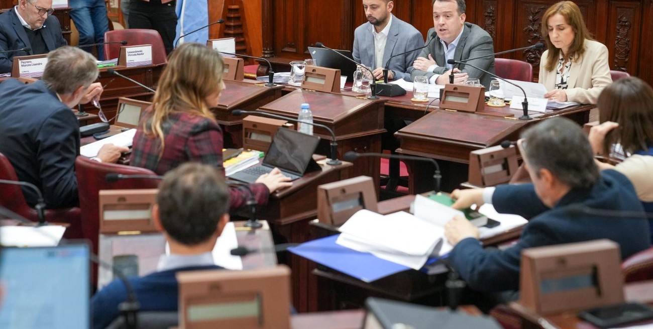 Cinco plenarios para votar la reforma de la Constitución provincial