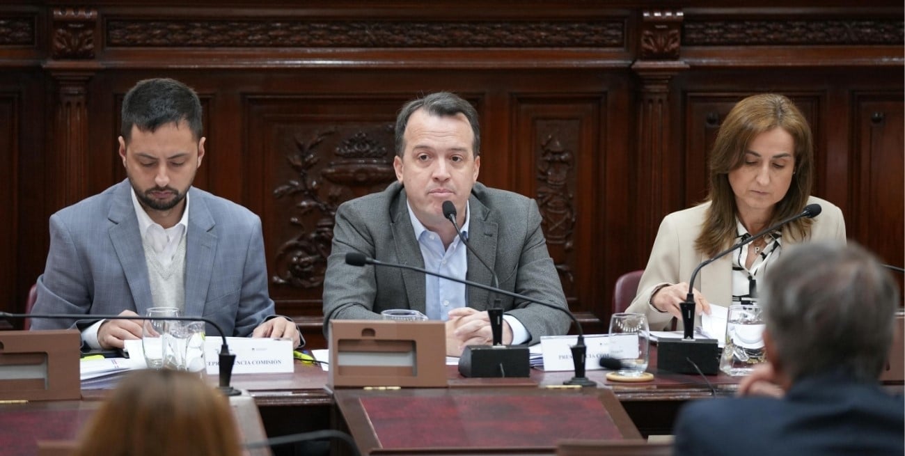 La Redactora convocó a dos comisiones antes de emitir dictamen