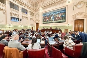 La Convención Reformadora analiza un artículo para promover el desarrollo industrial. Foto: Gentileza