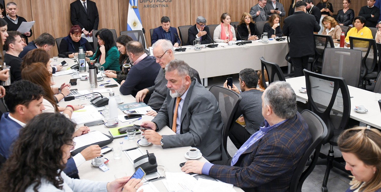 Diputados debatió sobre discapacidad, con faltazo del Ministro de Salud y el interventor de ANDIS