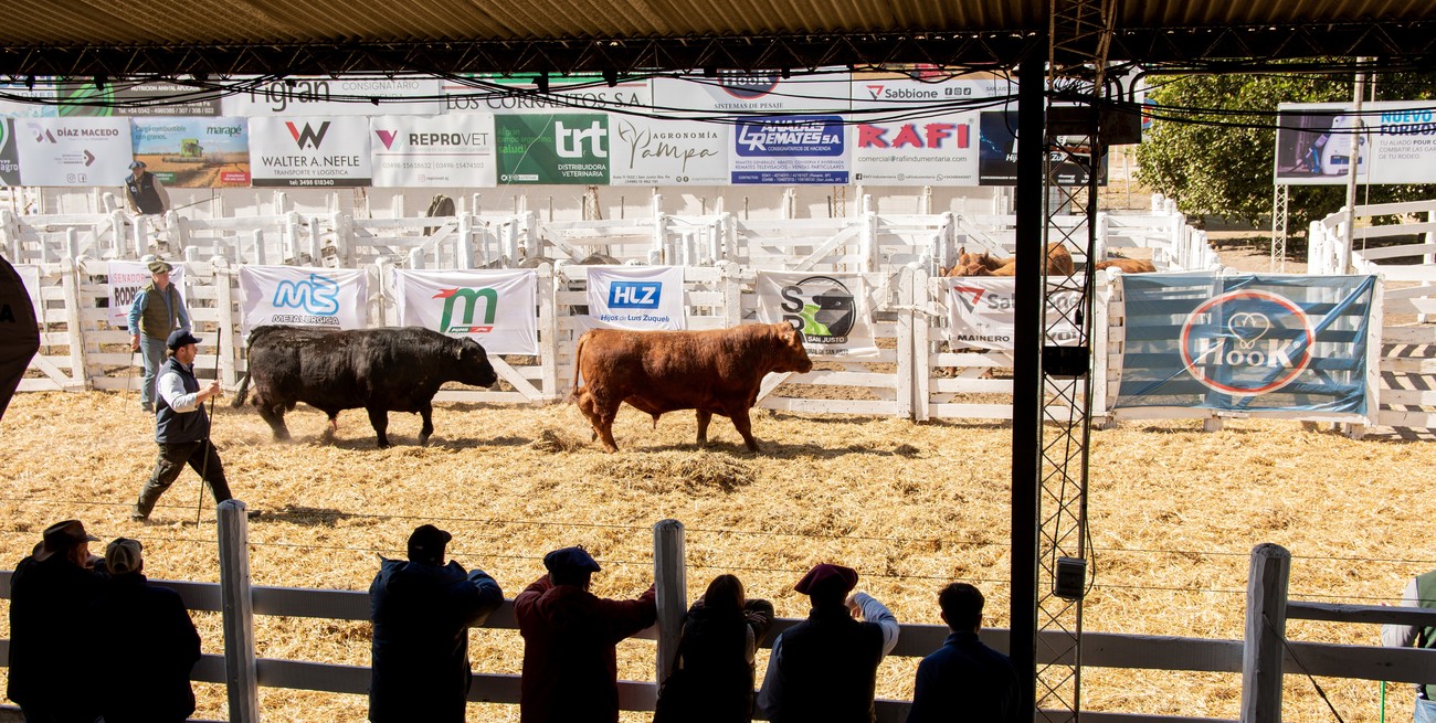 San Justo vuelve a ser el epicentro ganadero de Santa Fe