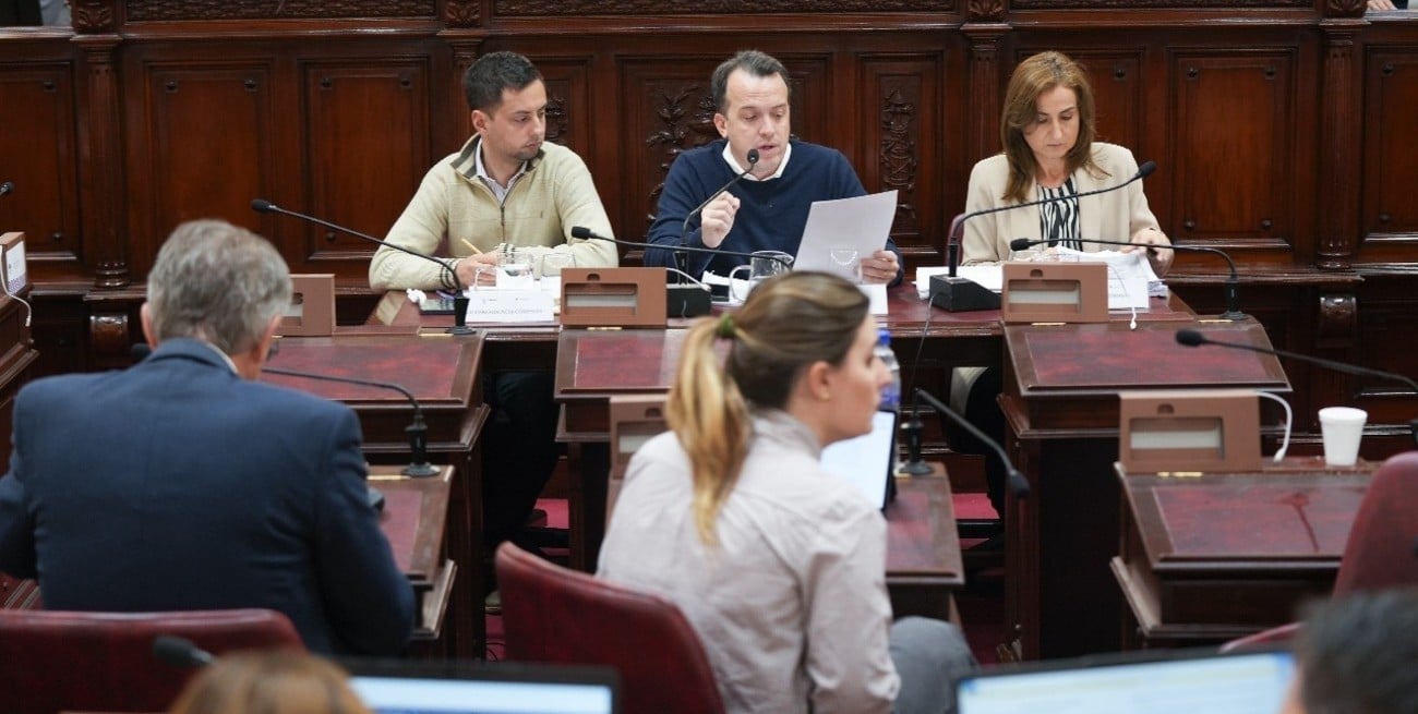 Tres artículos de la Constitución y ocho temas habilitados en el menú del viernes