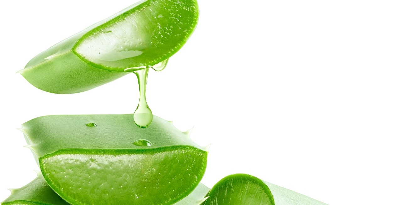 Aloe vera en la rutina facial: beneficios, usos recomendados y precauciones
