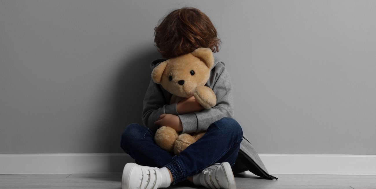 Desmantelan una red de pedofilia en Salta y se intensifica la lucha contra el ciberdelito