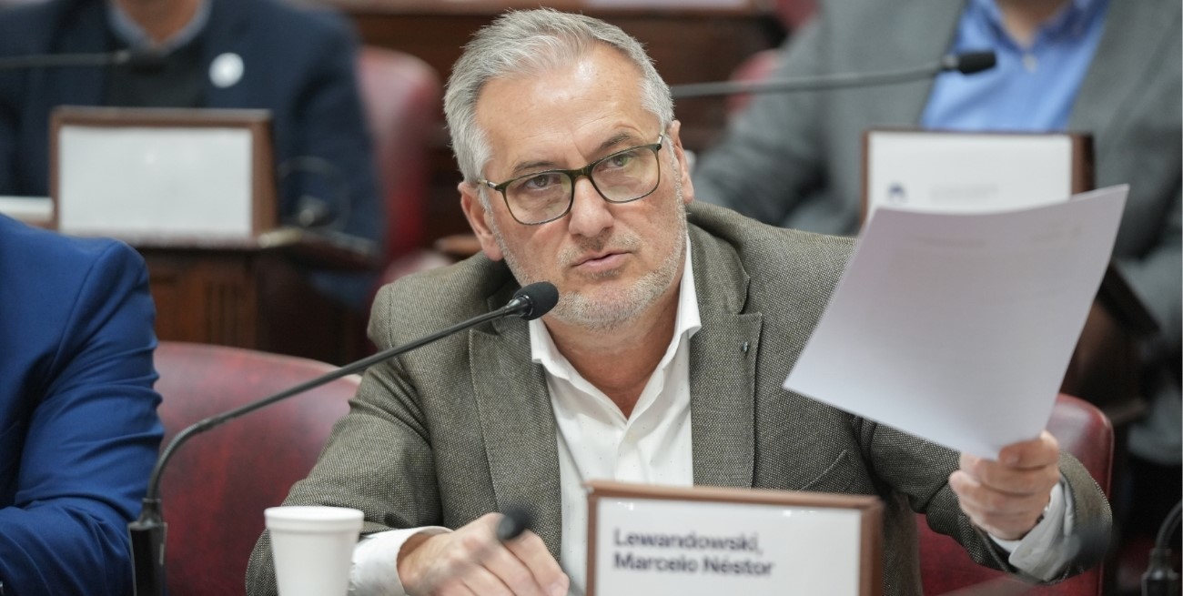 Lewandowski: "Logramos que se asegure la movilidad jubilatoria en el texto constitucional"
