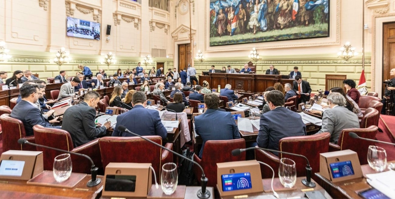 La Convención agrega participación directa para los ciudadanos en la Constitución