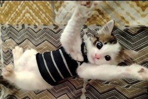 Cazadores de imágenes. "Estrenando chaleco". Crédito: Delfina Cano.