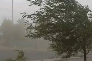 Las ráfagas pueden alcanzar localmente los 75 km/h.