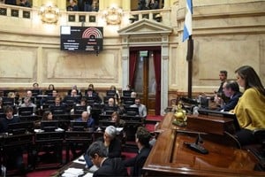 El Senado convalidó el 21 de agosto el rechazo a los DNU que había votado la Cámara de Diputados. Crédito: Archivo El Litoral.