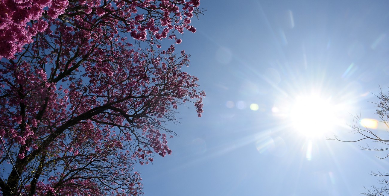 Tras un agosto récord de lluvias, anticipan un trimestre dentro de lo habitual