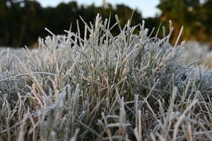 Ingresará aire polar tras el paso de un frente de tormenta sobre la región agrícola